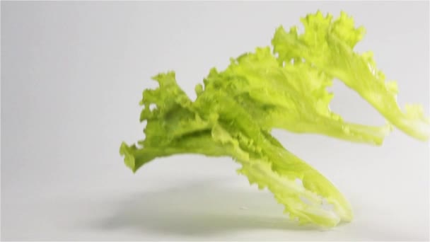 Lettuce falling and splashing — Stock Video