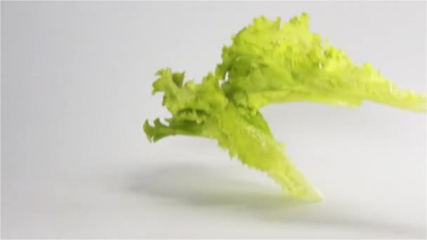 Салат падает на белую поверхность — стоковое видео