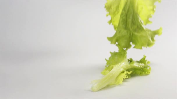 Lettuce fall on surface multiple times — Stock Video