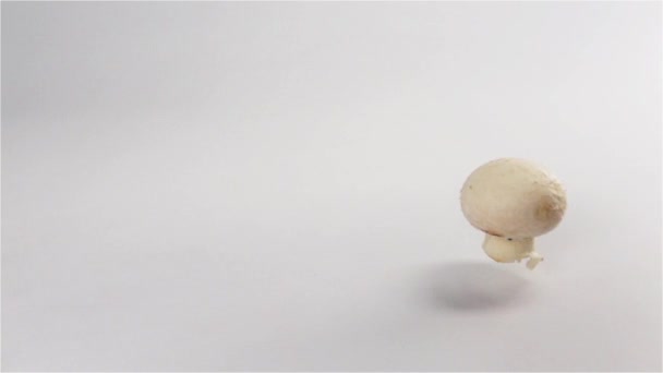 Peu de champignons frais tombant et rebondissant sur la surface blanche — Video