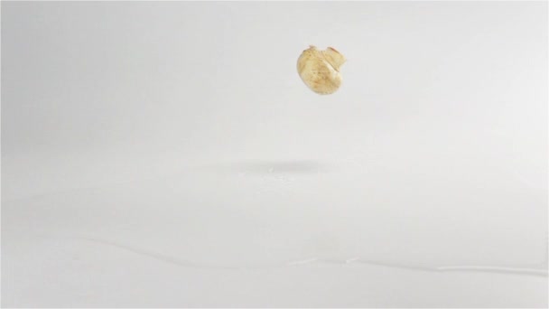 落在白色的湿表面的蘑菇 — 图库视频影像