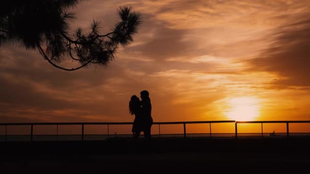 Pareja silueta en la playa amanecer — Vídeos de Stock