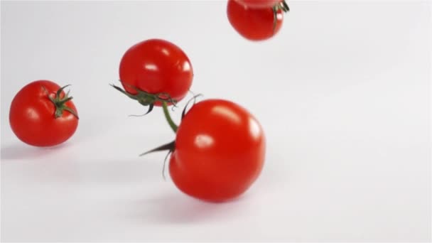 Färska tomater faller på vit yta. — Stockvideo