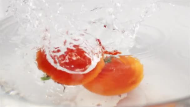 Rode tomaten, solanum lycopersicum, vruchten vallen in Water tegen de witte achtergrond — Stockvideo