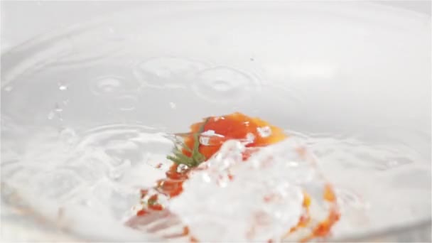 Przypada jeden czerwony dojrzały pomidor z zielonych liści pod wodą — Wideo stockowe