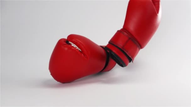 Par de luvas de boxe de couro vermelho caindo e saltando isolado no branco — Vídeo de Stock