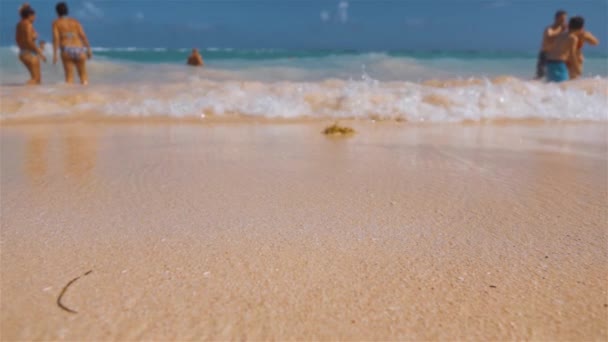 Vågig tropisk strand i tropiska counrty island beach — Stockvideo