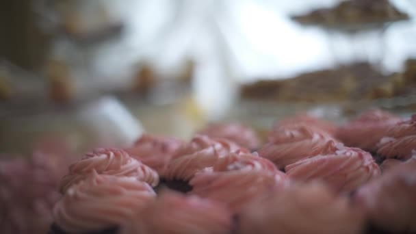 Pasteles dulces de la barra de dulces de boda . — Vídeo de stock