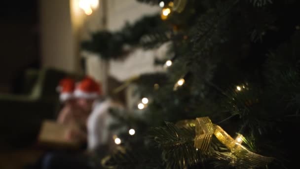 Pareja celebrando la Navidad considerar un álbum de fotos encantadoras borrosa. Primer plan de árbol en foco — Vídeo de stock