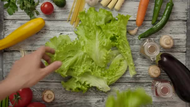Erntehelfer nehmen Salat Stück für Stück vom Tisch — Stockvideo