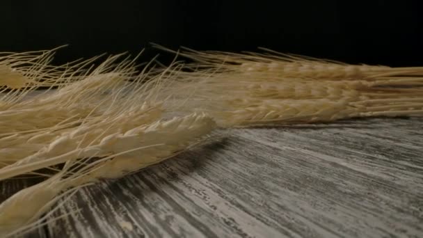 成熟的小麦放在桌上. — 图库视频影像