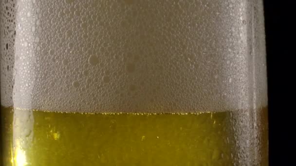 Čerstvé pivo syčí ve skle. — Stock video