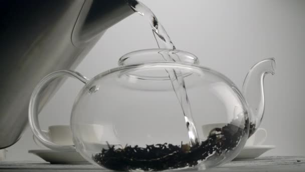 Versare acqua bollente in una teiera con tè nero — Video Stock