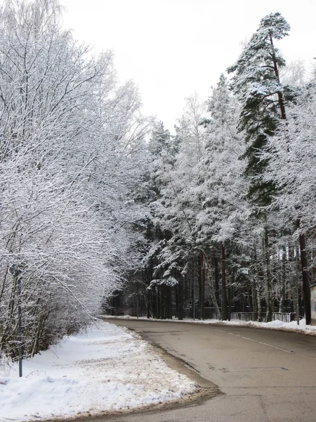 La strada in mezzo agli alberi innevati. La prima neve, paesaggio invernale . — Foto Stock