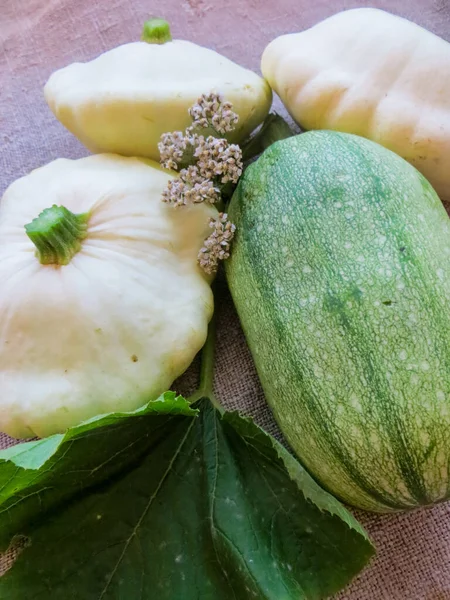 Calabaza blanca orgánica fresca y calabacín en la mesa . — Foto de Stock