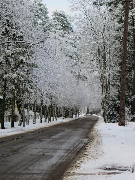 La strada in mezzo agli alberi innevati. La prima neve, paesaggio invernale . — Foto Stock