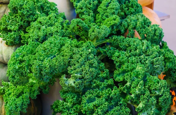 Spreading kale cabbage bush at the market. — Stok fotoğraf