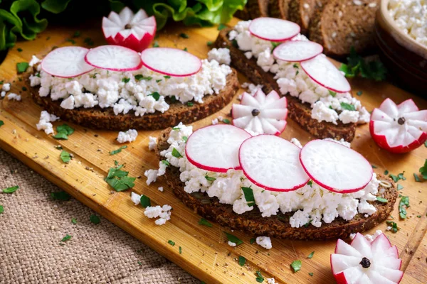 Torrada caseira com queijo cottage, decorado com fatias de rabanete e ervas . — Fotografia de Stock