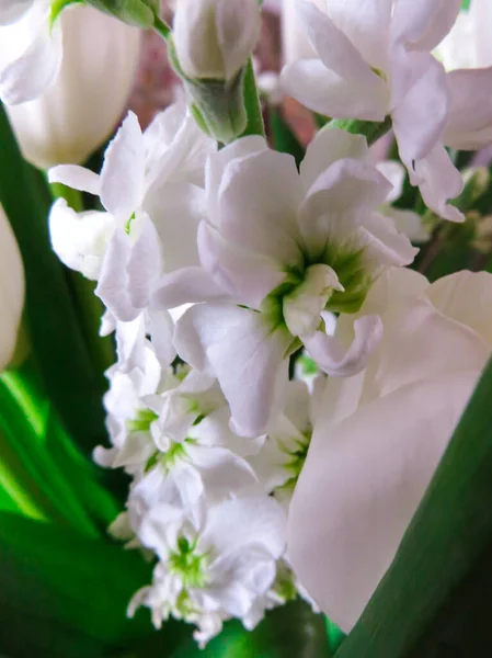 Buquê de tulipas brancas em um vaso na mesa. — Fotografia de Stock