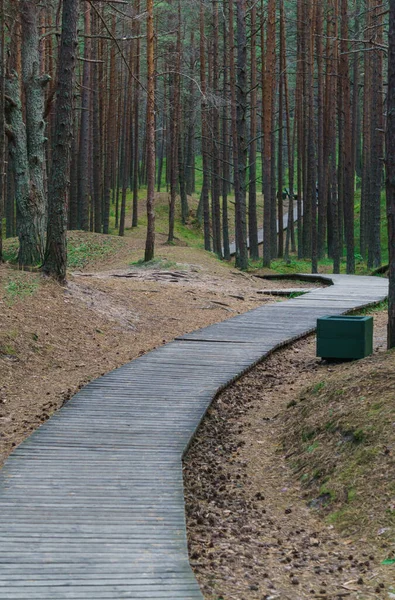 Riga Körfezi 'nin kum tepelerindeki çam ağaçlarının arasında tahta bir patika.. — Stok fotoğraf