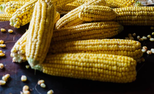 Yellow ears of corn against a dark background. — Stock Photo, Image