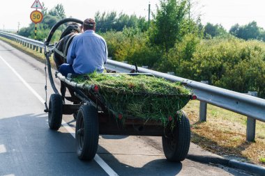 At arabası süren bir adam, eski bir tarım aracı..