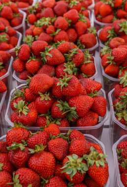 Taze kırmızı çilekler, satışa çıkarıldı..