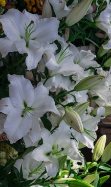 Piyasada satılan renkli zambak buketleri.