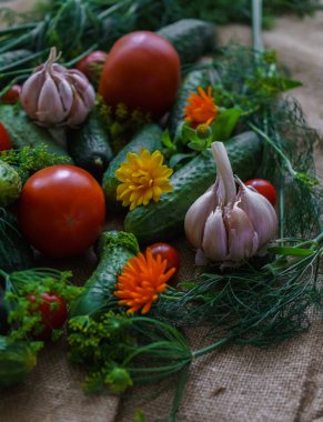 organik sebzeler. Bir set salatalık, dereotu, sarımsak ve domates..