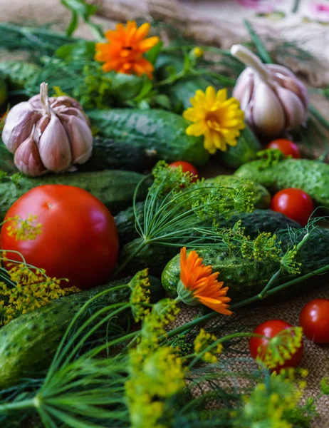 Bio-Gemüse.Eine Reihe von Rübengurken, Dill, Knoblauch und Tomaten. — Stockfoto