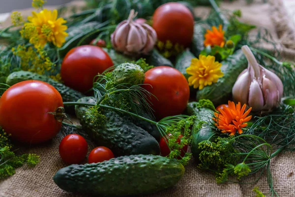 Bio-Gemüse.Eine Reihe von Rübengurken, Dill, Knoblauch und Tomaten. — Stockfoto