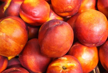 Kutuda duran taze renkli nektarinler..