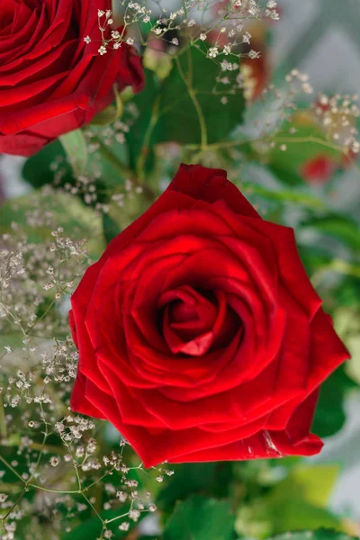 Świeże piękne czerwone róże w bukiecie. — Zdjęcie stockowe