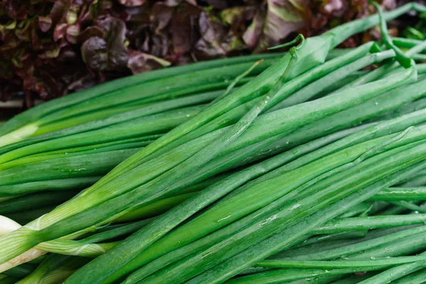 Verduras frescas, ensalada colorida, eneldo, cebollas verdes, perejil . — Foto de Stock