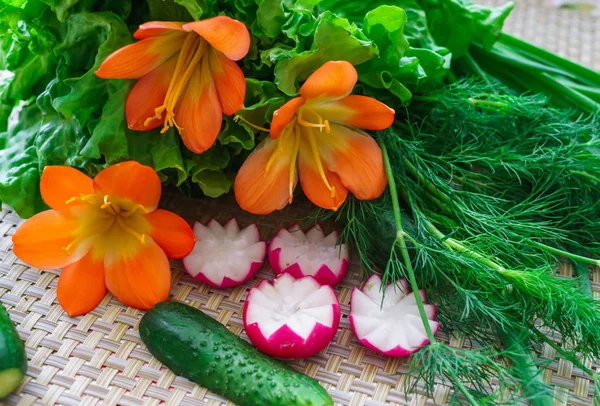 Frische Gurken, in Scheiben geschnittener Rettich, Grünzeug und Blüten der Clivia zur Dekoration. — Stockfoto