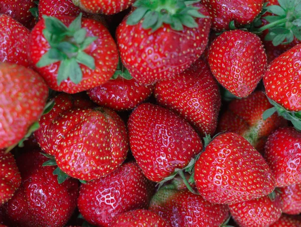 Bayas de fresas frescas, maduras y rojas esparcidas en una caja . — Foto de Stock