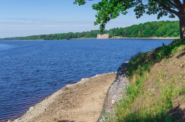 A margem do rio Daugava perto de Koknese, na Letônia. Julho de 2017 . — Fotografia de Stock