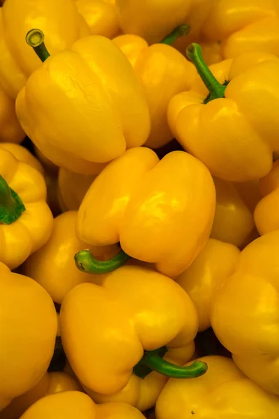 Fresh yellow sweet pepper, grown in the village.