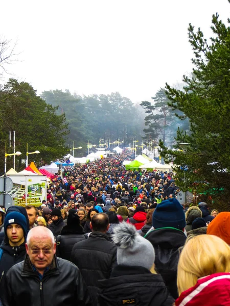 Palanga 'da Baltık Denizi' nde eritme tatili. 18 Şubat 2017