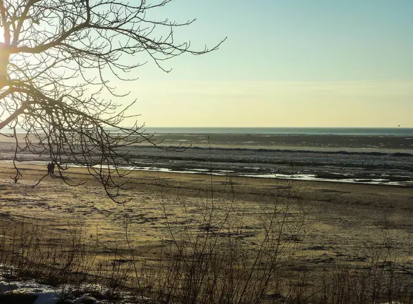 Der Golf von Riga in Jurmala, Vorfrühling in Lettland. — Stockfoto