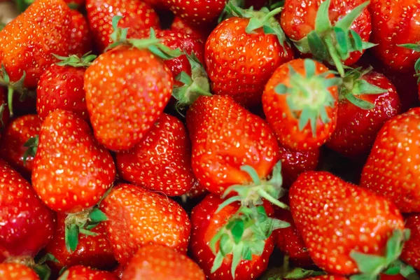 Un montón de maduros, fresas frescas que yacen en una caja . — Foto de Stock