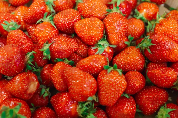 Un montón de maduros, fresas frescas que yacen en una caja . — Foto de Stock