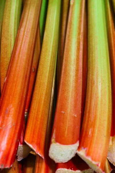 Cubiertos de ruibardo fresco para las morenas y los pasteles . — Foto de Stock