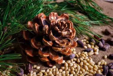 Kabukta sedir fındıkları ve masaya saçılmamış..