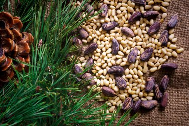 Kabukta sedir fındıkları ve masaya saçılmamış..