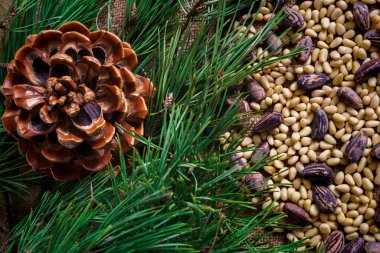 Kabukta sedir fındıkları ve masaya saçılmamış..