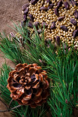 Kabukta sedir fındıkları ve masaya saçılmamış..