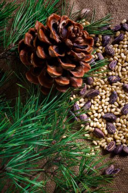 Kabukta sedir fındıkları ve masaya saçılmamış..