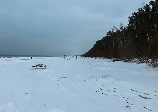 Snowy plaża, Zatoka Ryska, Morze Bałtyckie. — Zdjęcie stockowe