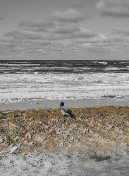 Ampliaciones interminables en una playa cubierta de nieve en Jurmala, en la orilla del Golfo de Riga, en invierno de 2018.Letonia . — Foto de Stock